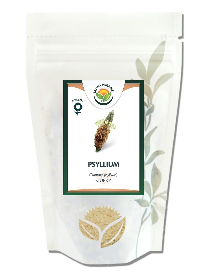 Salvia Paradise Psyllium Balení: 100 g