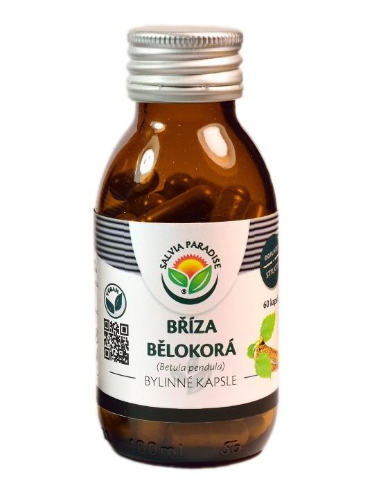 Salvia Paradise Bříza bělokorá kapsle Balení: 60 ks