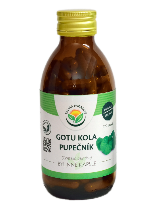 Salvia Paradise Gotu kola - pupečník kapsle Balení: 120 ks