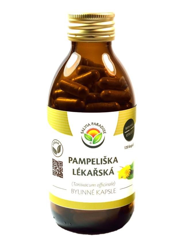 Salvia Paradise Pampeliška lékařská kapsle Balení: 120 ks