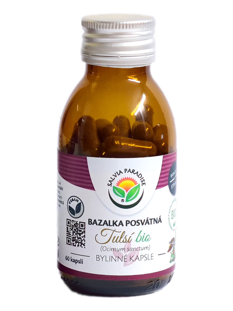 Salvia Paradise Tulsí - bazalka posvátná kapsle BIO Balení: 60 ks