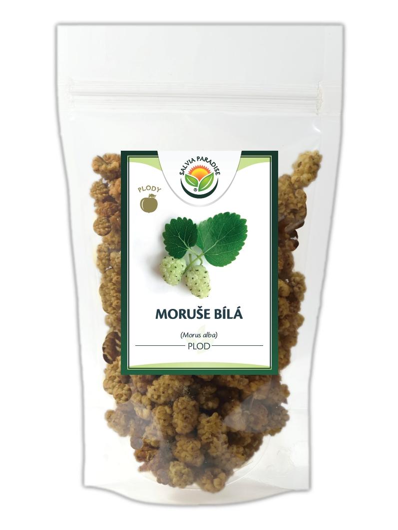 Salvia Paradise Moruše bílá plody Balení: 1000 g