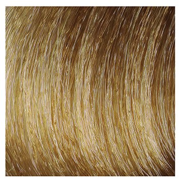Color & Soin Permanentní barva na vlasy s rostlinnými extrakty 135 ml Odstín: 8G Světlá zlatá blond