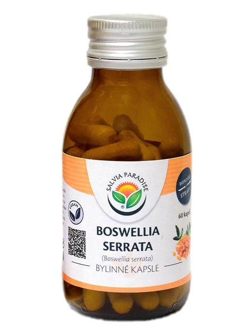 Salvia Paradise Boswellia serrata - kadidlovník kapsle Balení: 60 ks