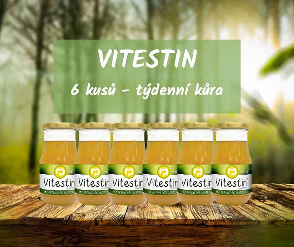 Natura Imuneco Vitestin 390 ml 6 kusů