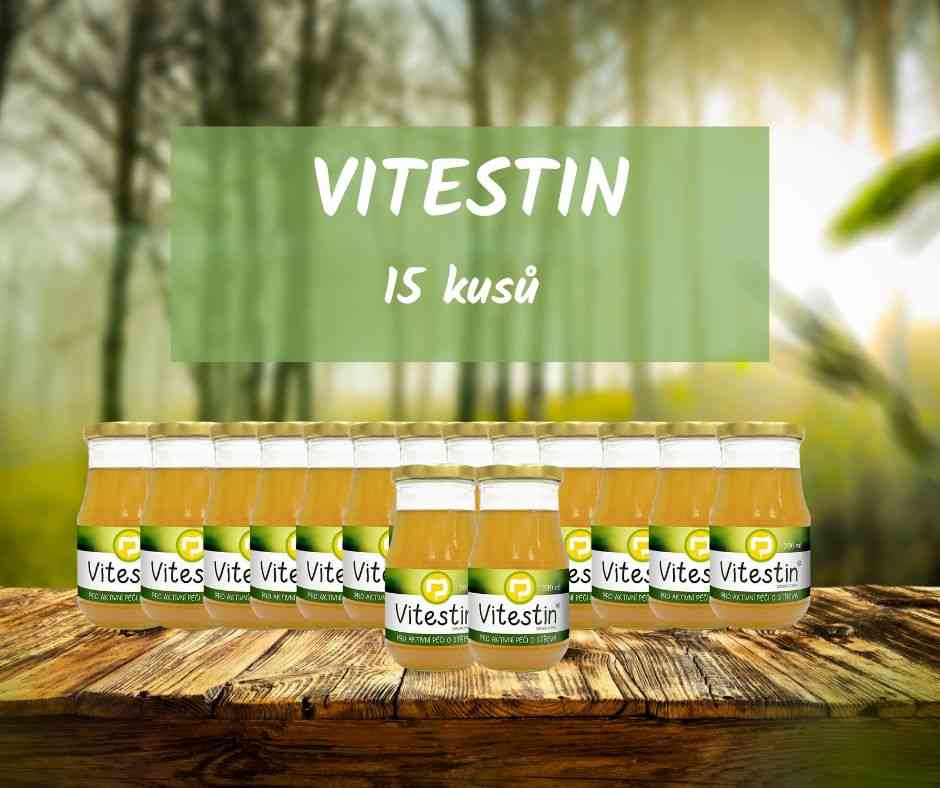 Natura Imuneco Vitestin 390 ml 15 kusů