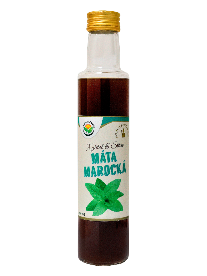 Salvia Paradise Máta marocká bylinný koncentrát 250 ml