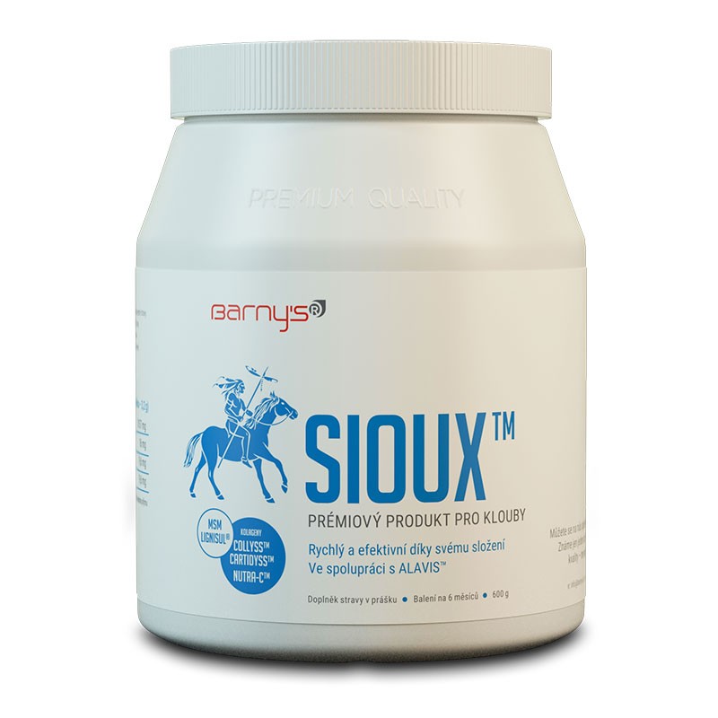 Barny´s Sioux MSM 600 g