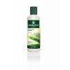HERBATINT Normalising Shampoo - šampon na barvené vlasy 260 ml