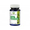 Pharma Activ Saw Palmetto 50 tbl.