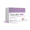 product aneurox400