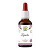 Lapacho AF 50ml PS custom