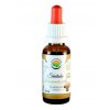 Shiitake AF tinktura (Balení 30 ml)
