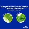 GS Ginkgo 40 mg + Gotu kola 90+30 tbl.