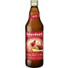 Rabenhorst BIO Imunita 750 ml