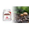 AGARICUS EXTRAKT 1 1024x574
