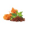 MycoMedica Cordyceps 100 g