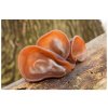 146 1 auricularia nupreme extrakt 30 polysacharidu