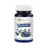 bilberry boruvka extrakt 1457665920190527152659