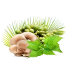 mycoprosten hower.1646628311