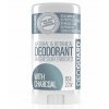 Deostick deoguard charcoal