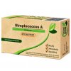 VS rychlotest Streptococcus A