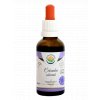 Cekanka obecna AF tinktura 50ml custom