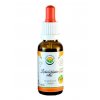 Lichořeřišnice větší AF tinktura (Balení 30 ml)