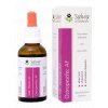 Salvia Veterinary Milk Thistle AF 50 ml