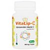 VitaLip-C Lipozomální vitamín C 60 kapslí