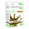 Flora Natura BIO Harpagofyt Čertův dráp 20x15 ml