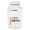 GymBeam Tribulus Terrestris 240 tbl.