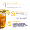4334 2 kombucha real bubble grapefruit
