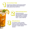 5667 2 kombucha real bubble lemon ginger