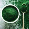 1065 7 spirulina web