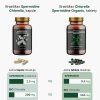 7061 5 finalchlorela a spermidin