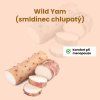 7256 5 wild yam