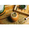 7271 2 59709 1 brainmax yerba mate herbal 500 g