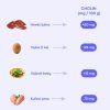 32210 4 cholin potraviny