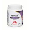 coprinus 1