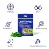 GS Lipo Ginkgo paměť+ 60mg 90 kapslí