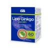 GS Lipo Ginkgo paměť+ 60mg 90 kapslí