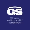 GS Lipo Ginkgo paměť+ 60mg 90 kapslí