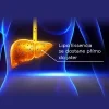 GS Lipo Essencia se silymarinem 60 kapslí
