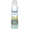 Fenjal Tělový Anti-Transpirant 48hod Sensitive 150 ml