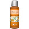 Saloos Bio Rakytníkový olej (olejový extrakt)