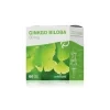 Nefdesanté Gingo Biloba 60 mg 60 kapslí