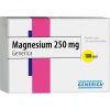 Generica Magnesium 250 mg 100 tbl.