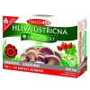 Hlíva rakytník Hlíva rakytník