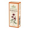 Grešík Echinacea bylinné kapky 50 ml